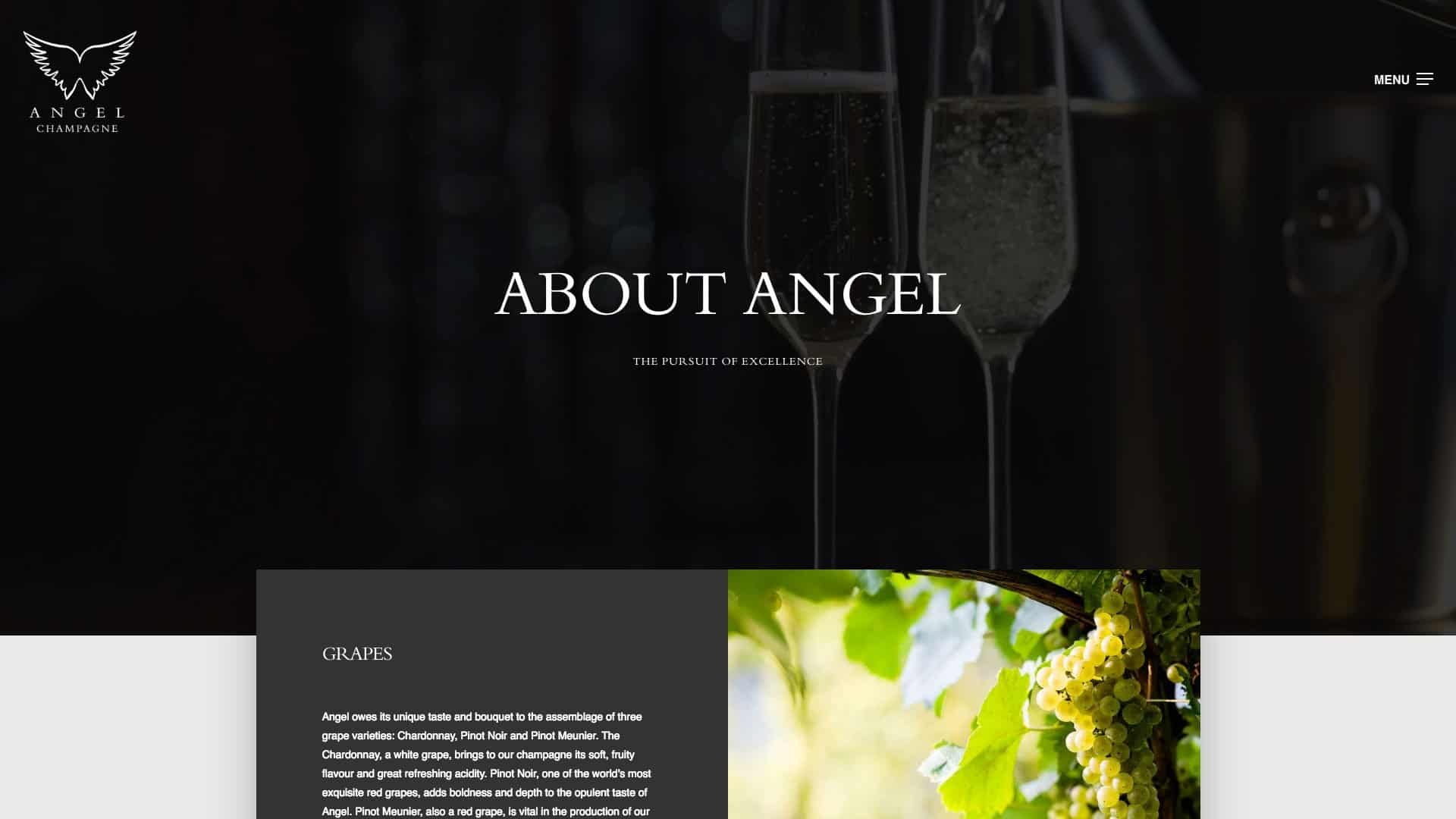 angel-champagne-about-us-page